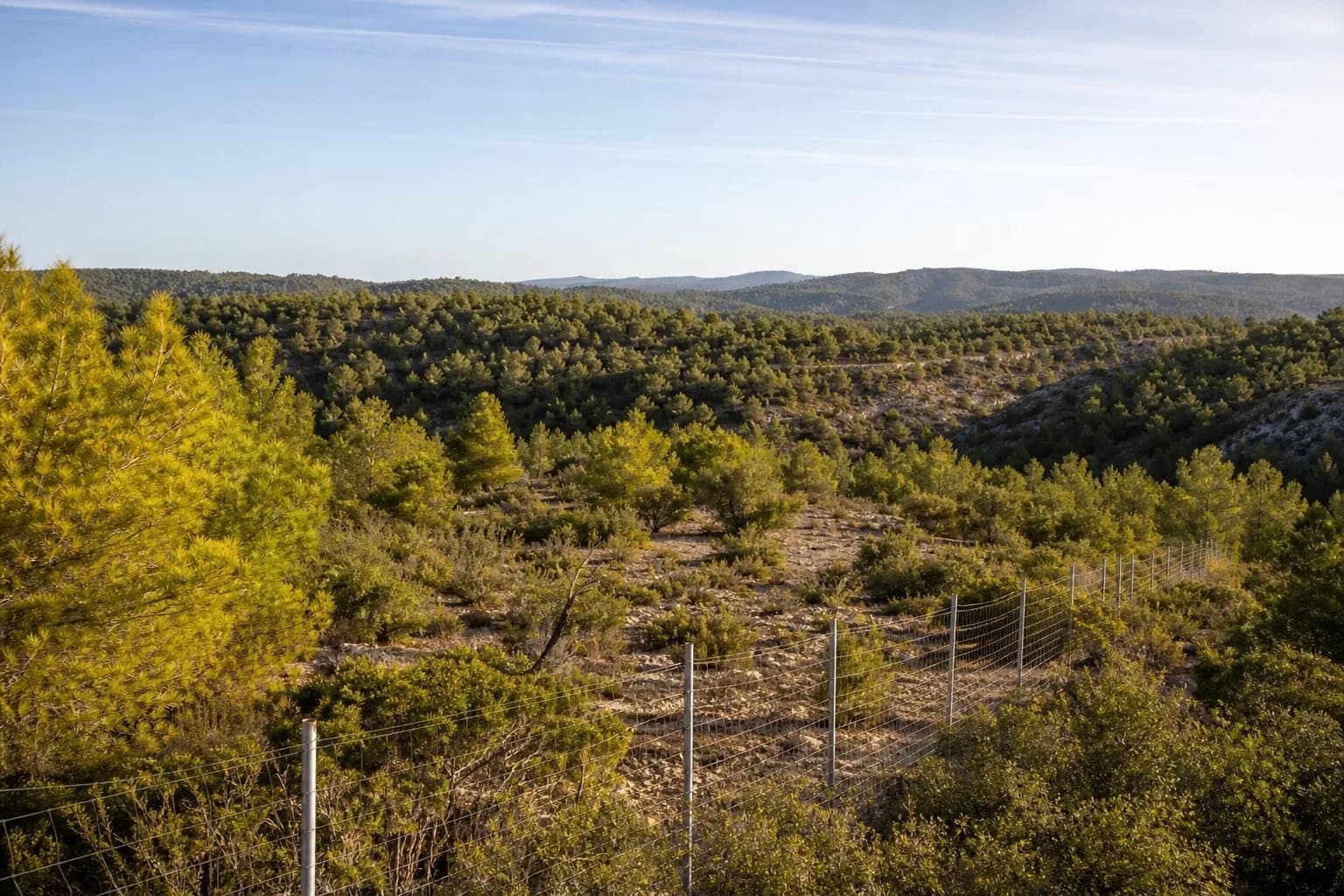 Finca cinegética en Requena, Valencia — foto 1