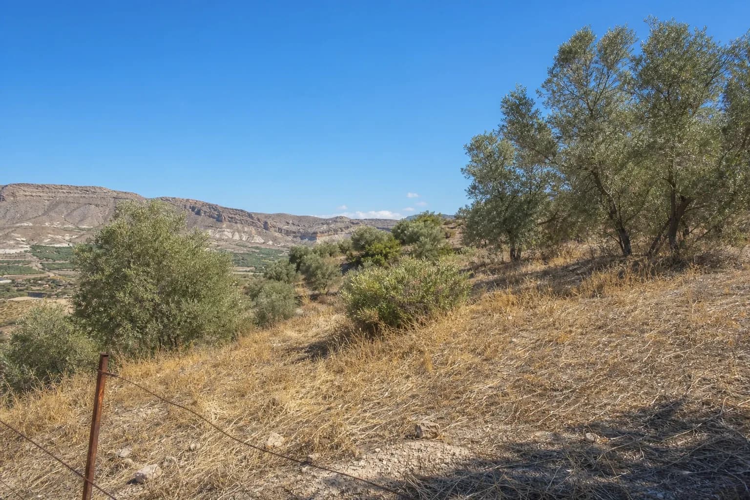 Finca rústica en Almería — foto 1