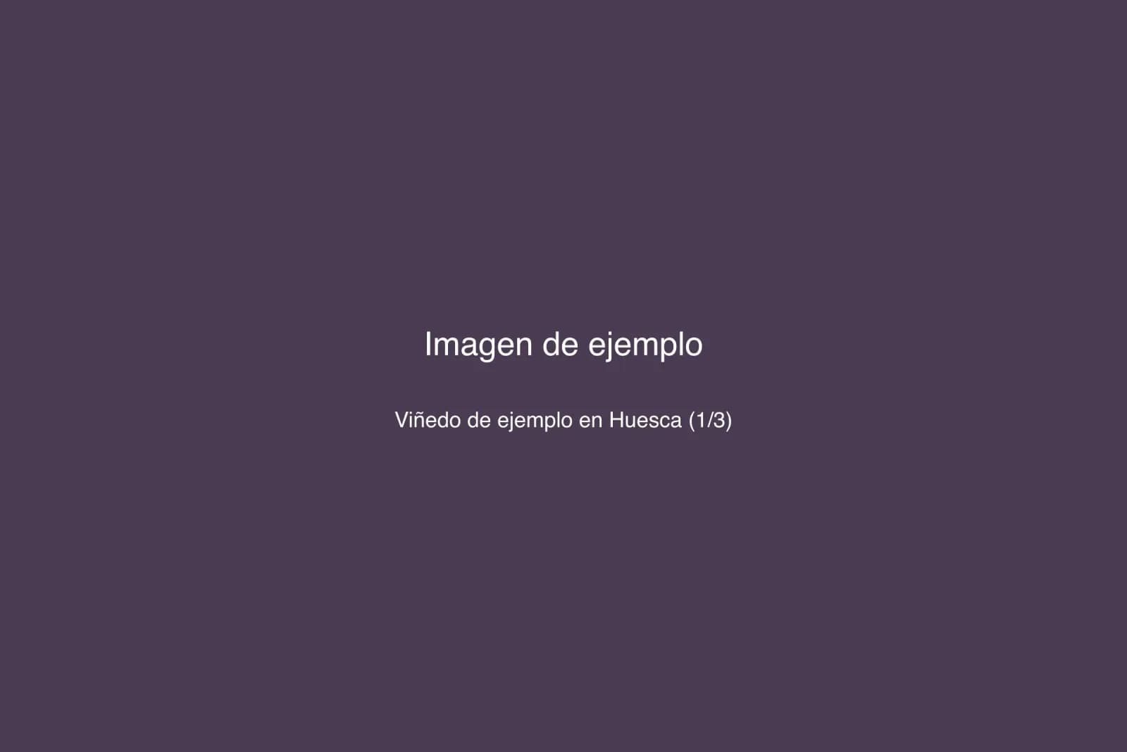 Viñedo en Huesca — foto 1