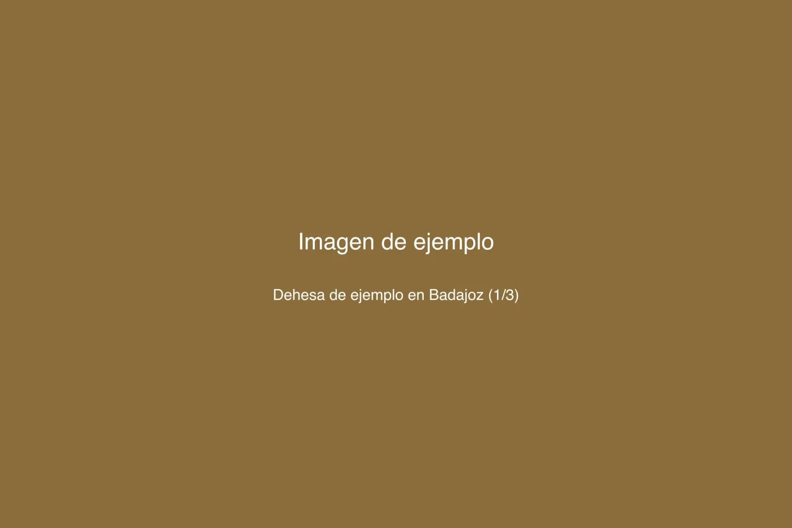 Dehesa en Badajoz — foto 1